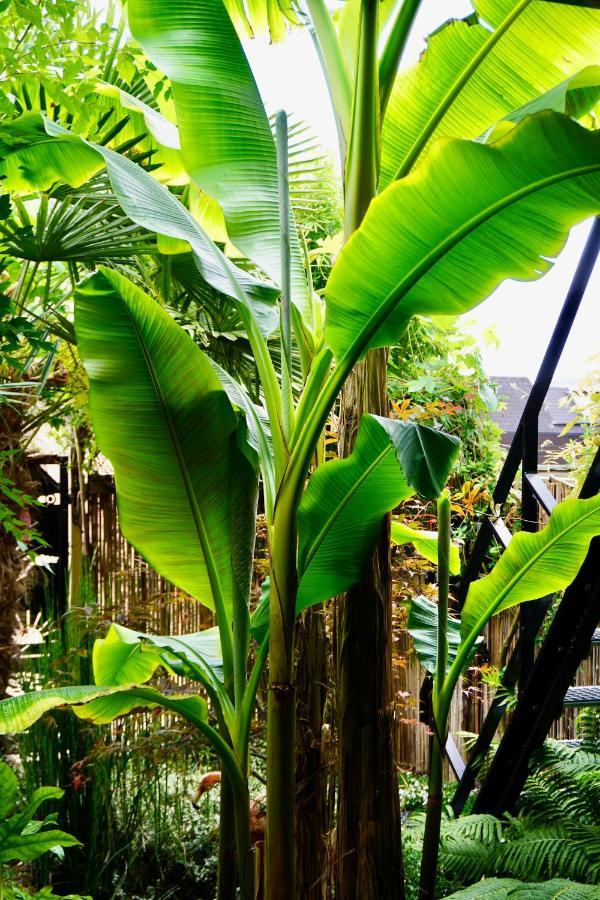 Jungle Stay In A Hidden Paradise Zwijndrecht Dış mekan fotoğraf